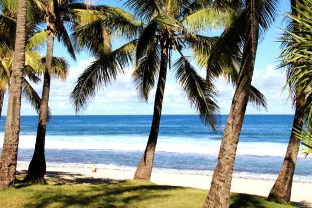 Maison De Vacances, Decouvrir Le Sud De La Reunion Petite Île エクステリア 写真