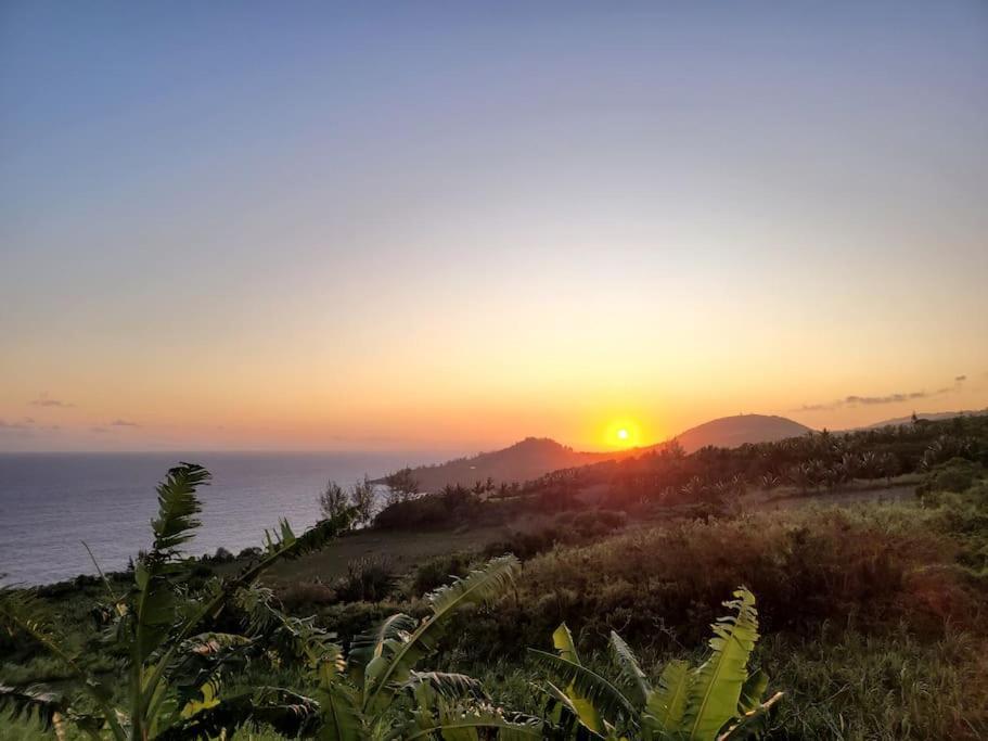 Maison De Vacances, Decouvrir Le Sud De La Reunion Petite Île エクステリア 写真
